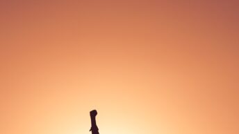 girl punching fist into air with an orange backdrop