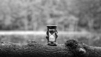 an hourglass on a tree